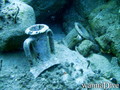 scuba diving photo