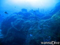 scuba diving photo