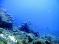scuba diving photo
