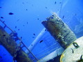 scuba diving photo