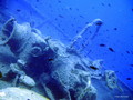 scuba diving photo