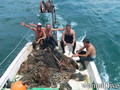 scuba diving photo