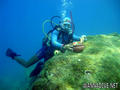 scuba diving photo