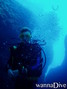 scuba diving photo