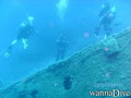 scuba diving photo