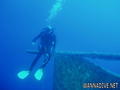 scuba diving photo