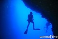 scuba diving photo