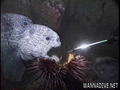 scuba diving photo