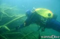 scuba diving photo