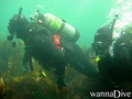 scuba diving photo