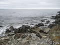 scuba diving photo