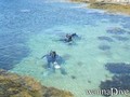 scuba diving photo