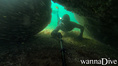 scuba diving photo