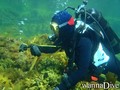 scuba diving photo