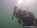 scuba diving photo