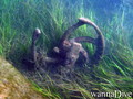 scuba diving photo