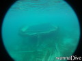 scuba diving photo