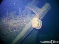 scuba diving photo