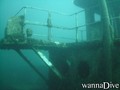 scuba diving photo