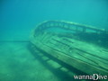 scuba diving photo