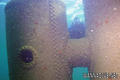 scuba diving photo