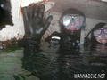 scuba diving photo