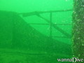 scuba diving photo