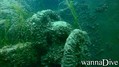 scuba diving photo