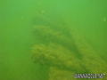 scuba diving photo