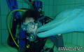 scuba diving photo
