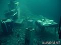 scuba diving photo