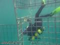 scuba diving photo