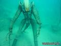 scuba diving photo