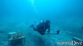 scuba diving photo