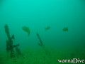 scuba diving photo