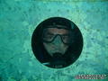 scuba diving photo