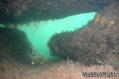 scuba diving photo