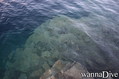 scuba diving photo