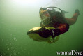 scuba diving photo