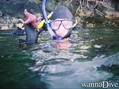 scuba diving photo