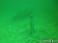 scuba diving photo