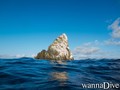 scuba diving photo
