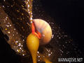 scuba diving photo