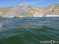 scuba diving photo