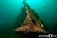 scuba diving photo