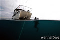 scuba diving photo