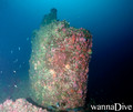 scuba diving photo