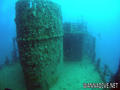 scuba diving photo