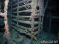 scuba diving photo