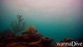 scuba diving photo